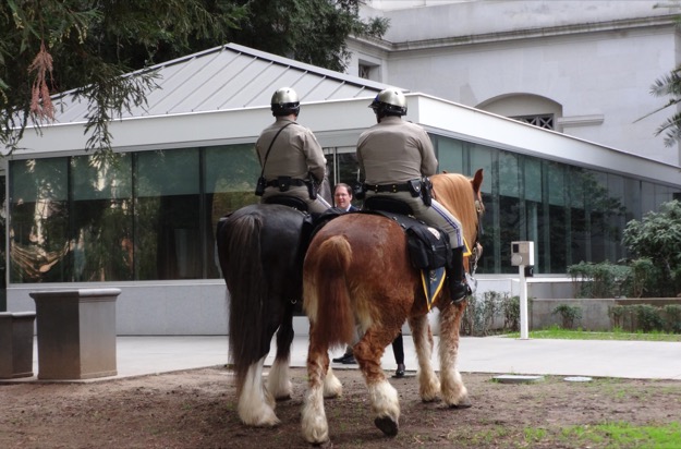 California capitol horses 625