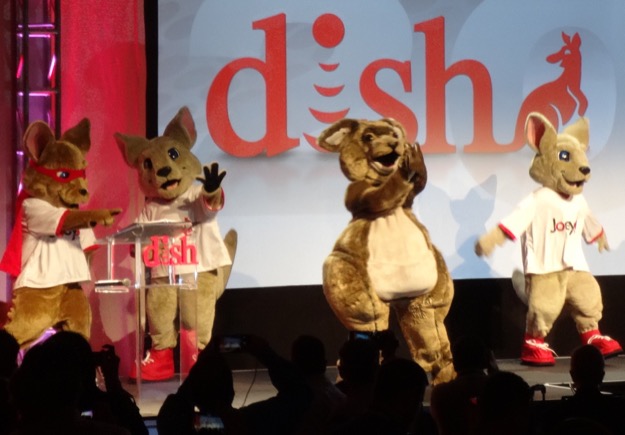 Dish kangaroos ces 5jan2015
