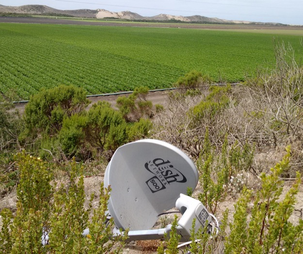 Dish neponset