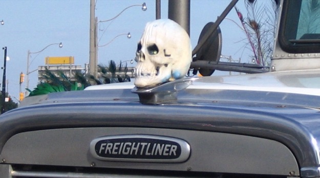 Skull hood ornament