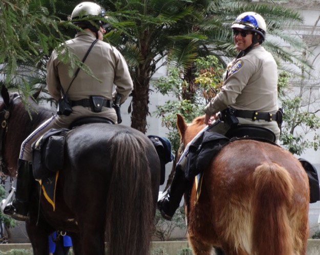 Chp horses capitol 3feb2016