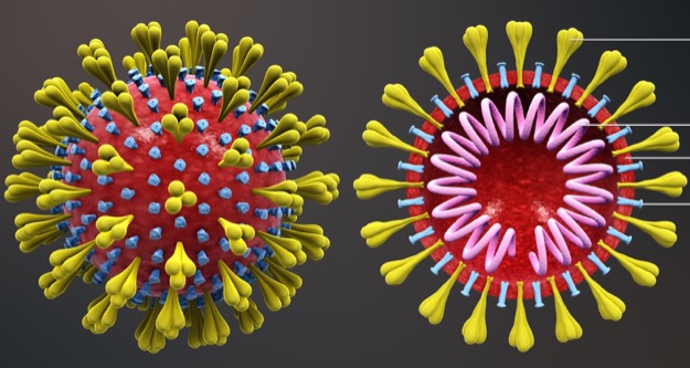 Corona virus