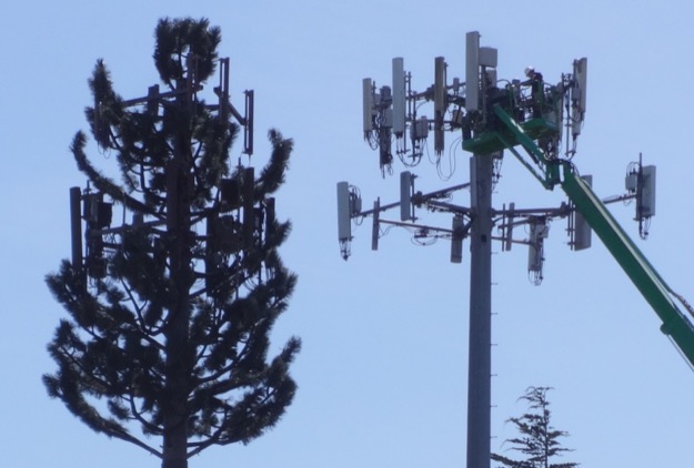 Marina cell sites 625